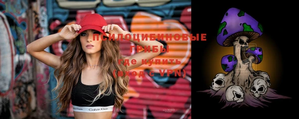 прущая мука Богданович