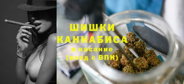 прущая мука Богданович