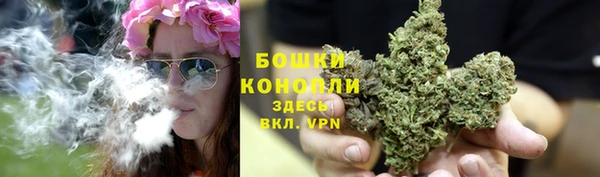 прущая мука Богданович