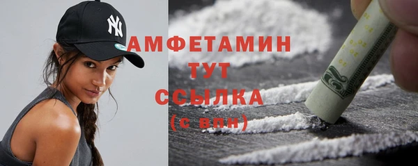 гидра Бородино