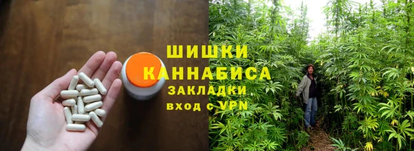 прущая мука Богданович