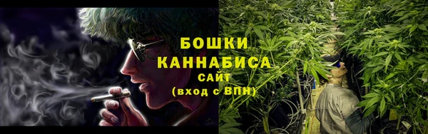 индика Бугульма